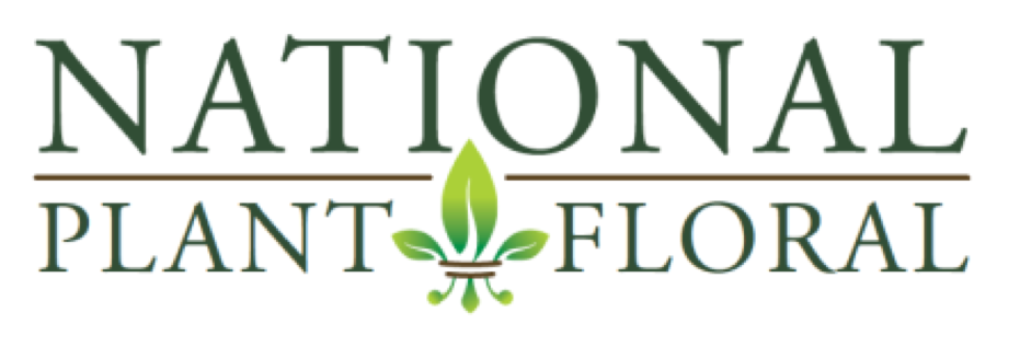 /mwcaoem/s/NationalPlantFloral.png?v=1